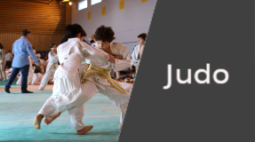 Vignette Discilpine : Judo