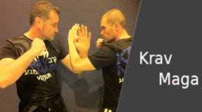 Vignette Discipline : KravMaga