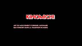 Présentation Shinbudo Kinomichi