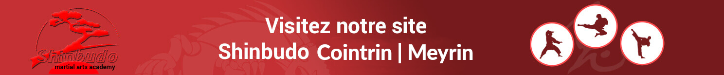 Bannière Shinbudo Cointrin