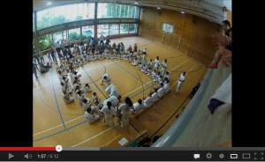 Capoeira-2012